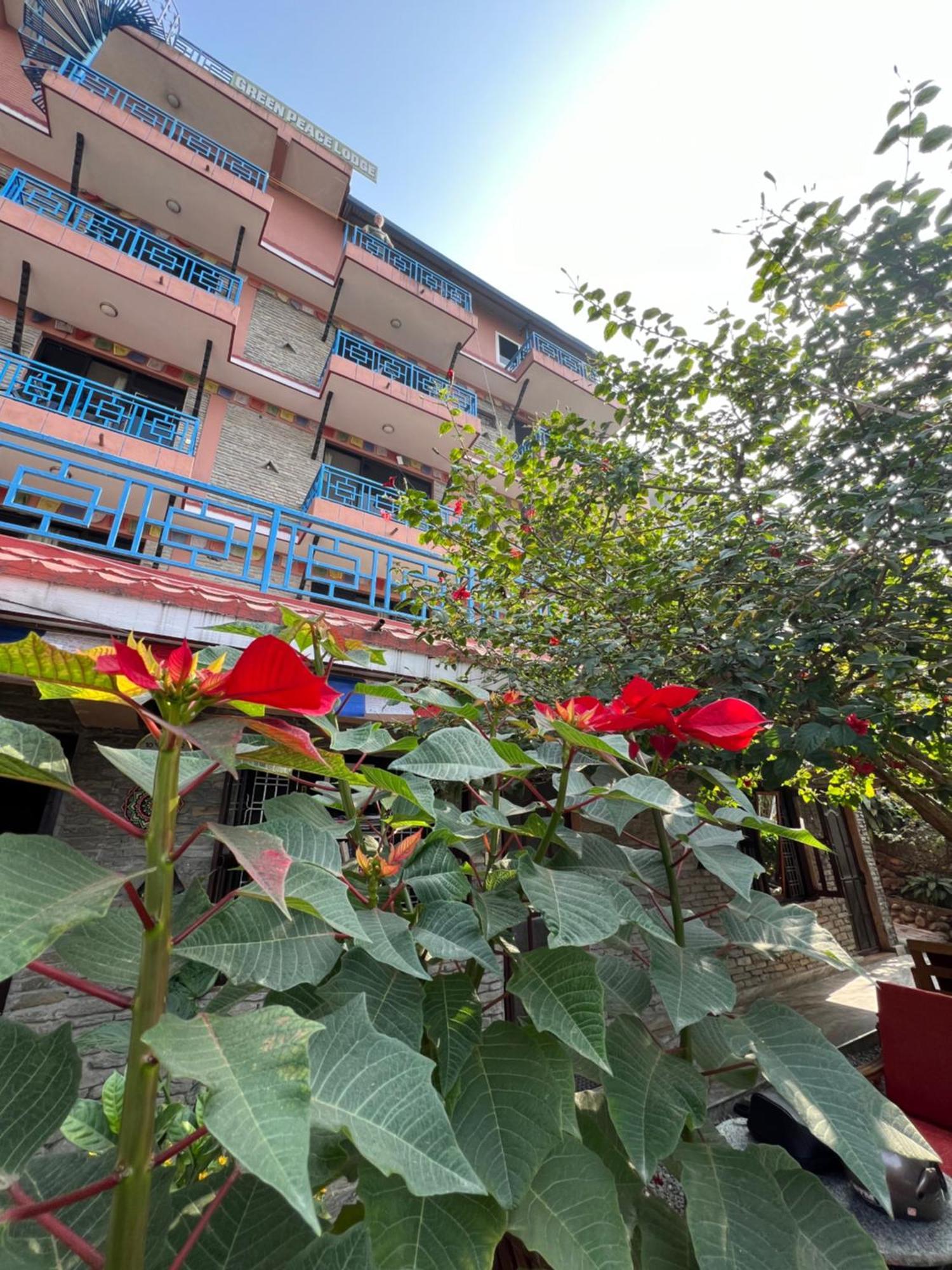 Little Pilgrim Family Lodge Pokhara Exterior foto